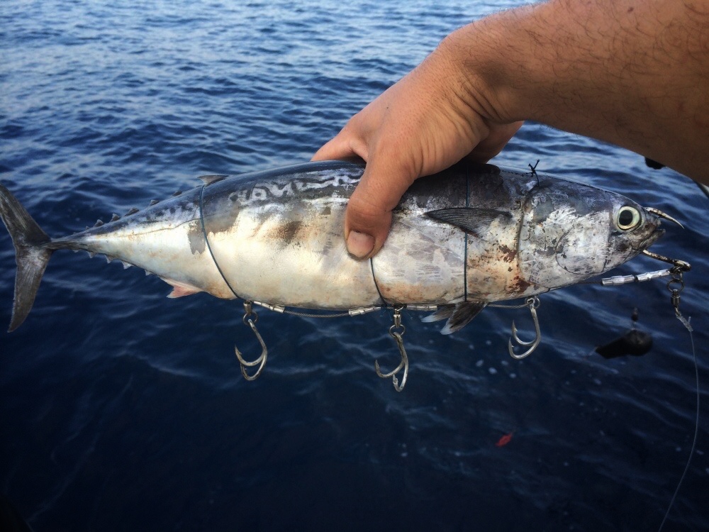 Морская рыбалка в Турции 1